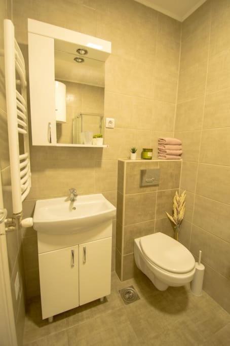 White Fields-Central 2-Bdrm Apartment With Parking نوفي ساد المظهر الخارجي الصورة